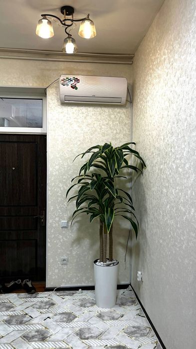 Аренда квартиры свой