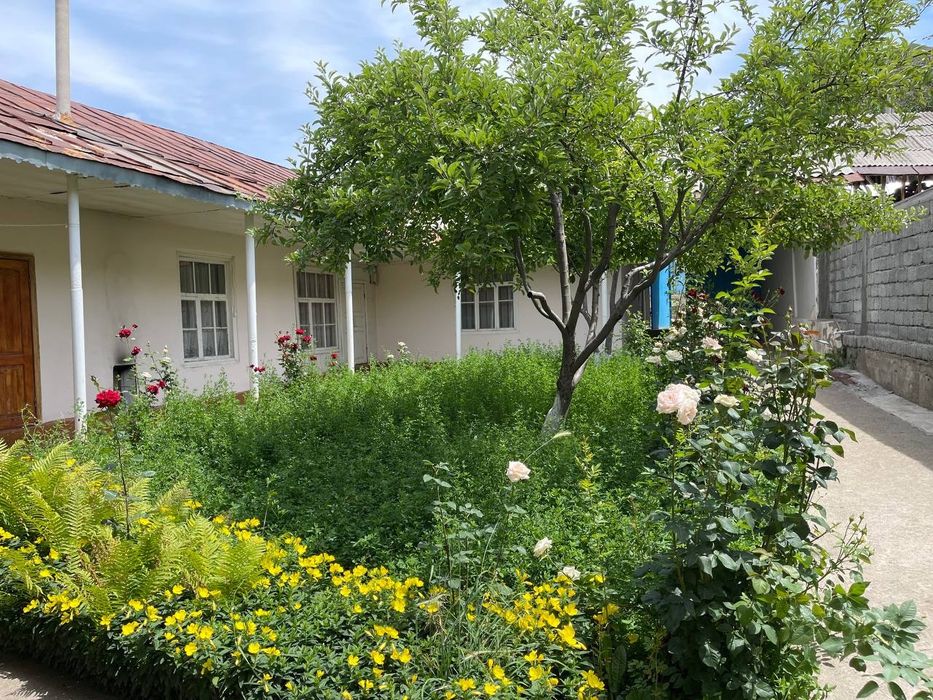 Дом в горах с участком - свежий воздух, Богистон