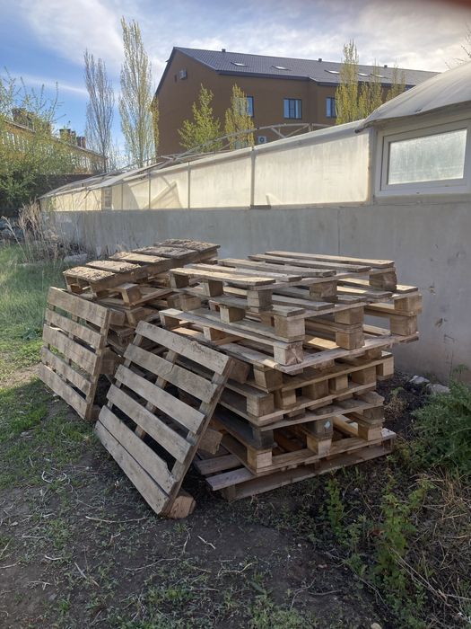 Поддоны штук 1000тг