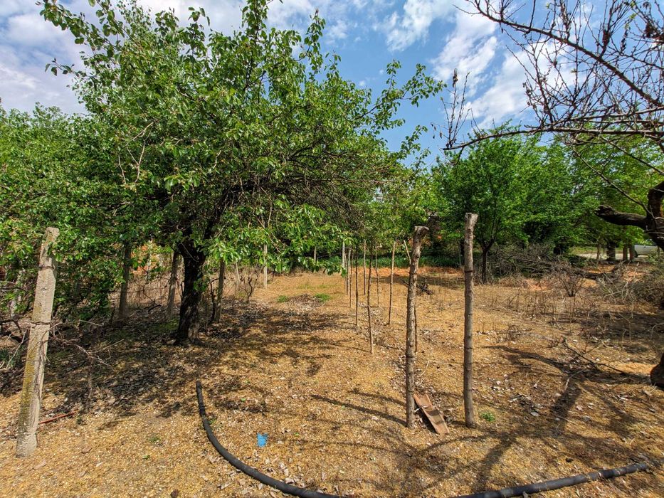 Продава се Къща в Съединение - 1250 кв.м за 46 €/кв.м - Снимка #8