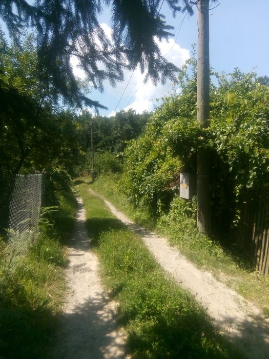 Продава се Земеделски имот в Габрово, Шенини -  кв.м за 17 €/дка - Снимка #6