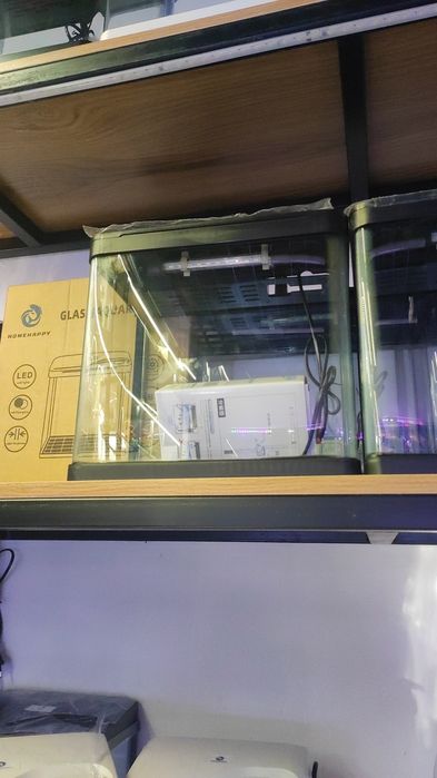 Akvarum va baliq magazin