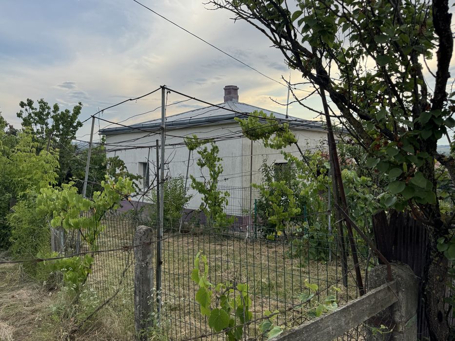 Vand teren cu sau fara casa Rachiti 850mp loc casa lot botosani