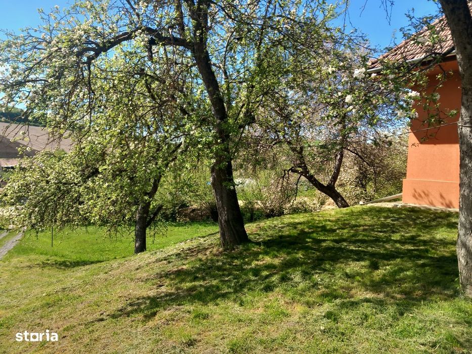 Teren spectaculos ,Porumbeni12.822 mp  livadă,case și panoramă superba