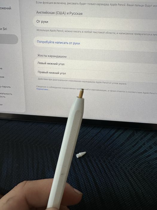 Apple pencil gen 2 (orginal)