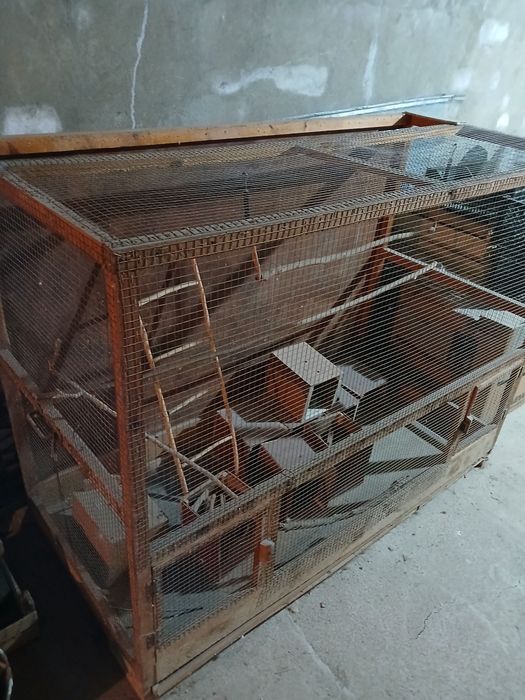 Qush uchun (popugay va boshqalar) qafas sotiladi