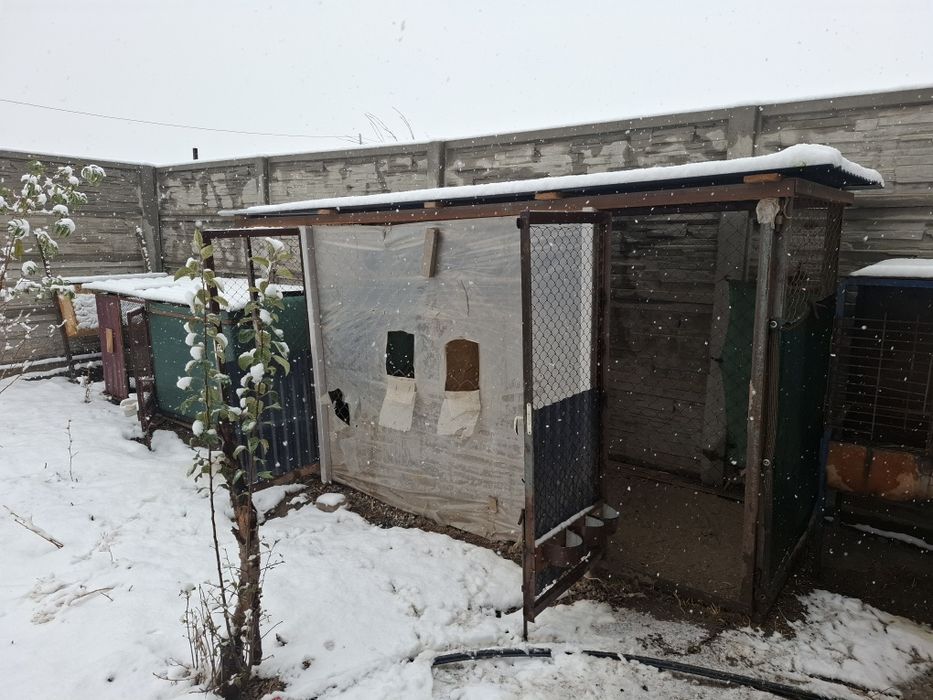 Вальер курятник загон