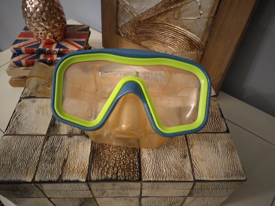 Оригинални професионални очила Спийдо за подводно плуване и гмуркане.