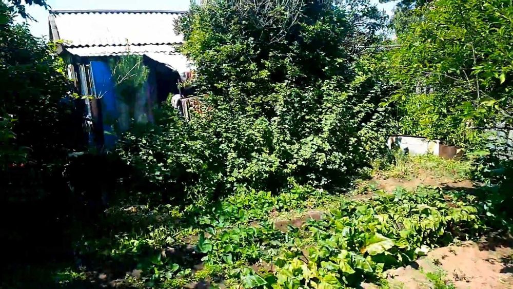 Продам дачу сад "Здоровье-1" 6 соток.