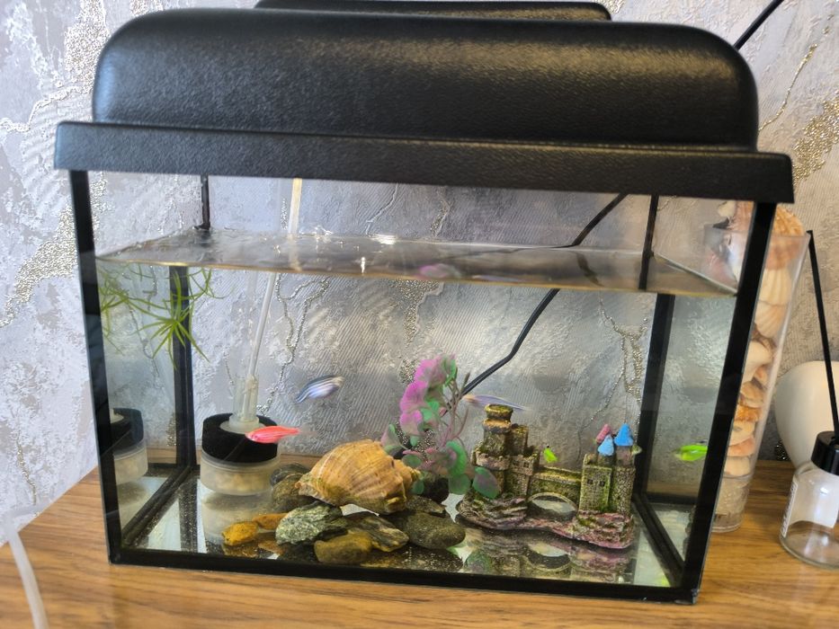 Продам аквариум с рыбками и улиткой 15500