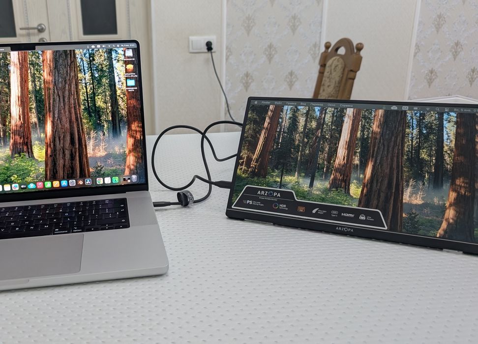 Портативный монитор