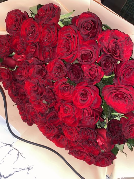 Қызыл роза,