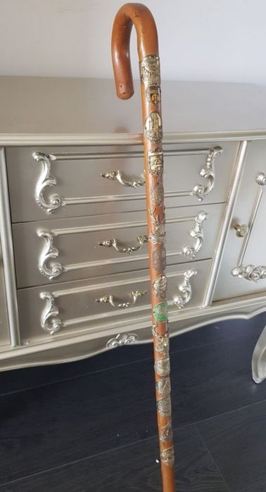 Bețe fixe  pentru drumeție Leki