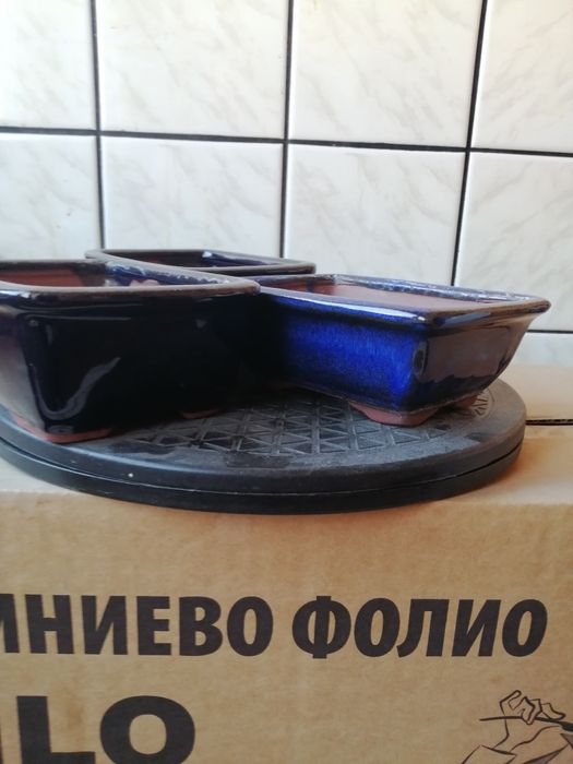 Бонсай саксии-среден и малък размер