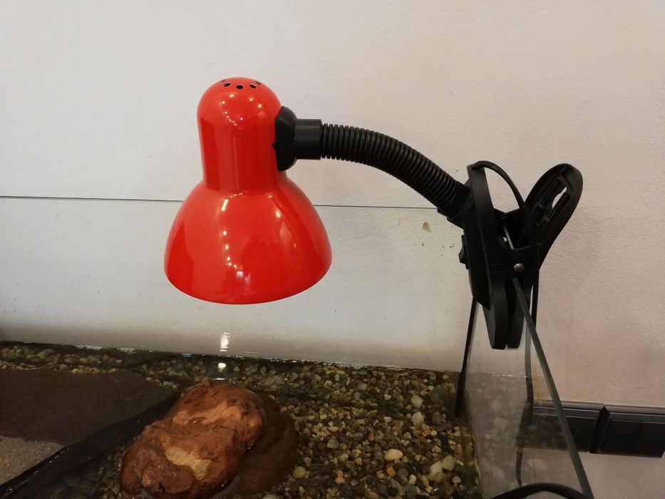 Lampa acvariu țestoasă, reptile, pesti