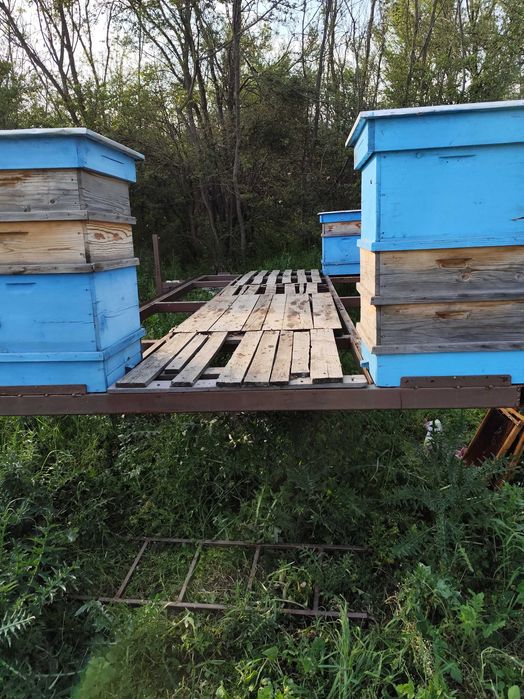 Пчеларска платформа