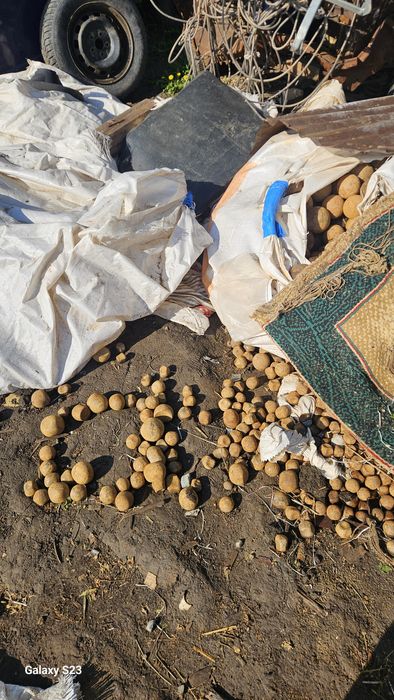 Продам шарыи помолныие