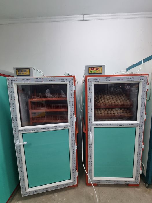 Инкубатор Новый-720