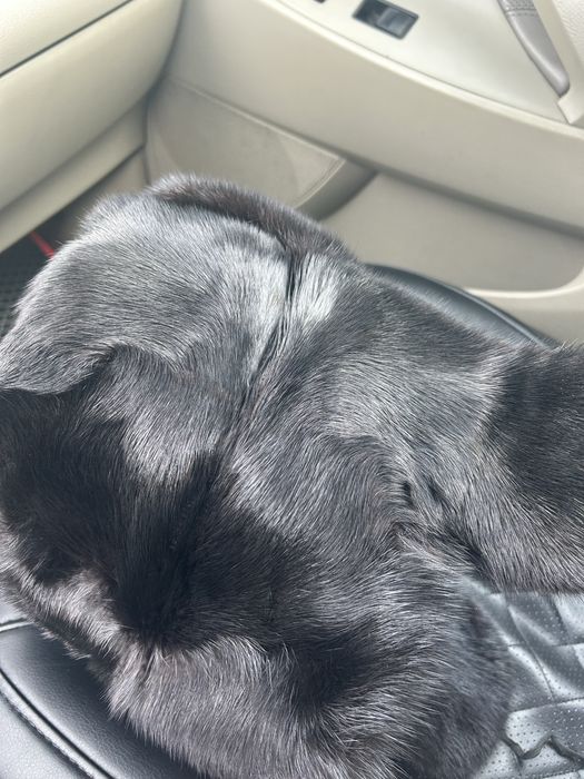 Продам норковую шапку