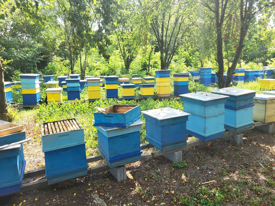 Пчелен прашец, Мед(Билков,Крем-мед,Имуно), Прополис, Тинктура, Свещи 2