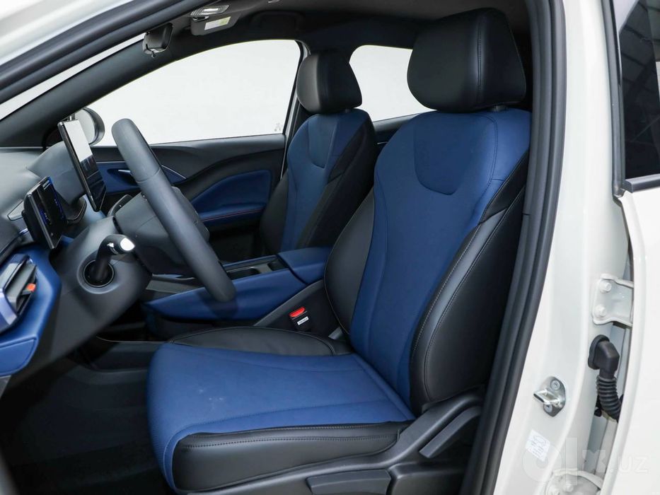Byd seagull 2026