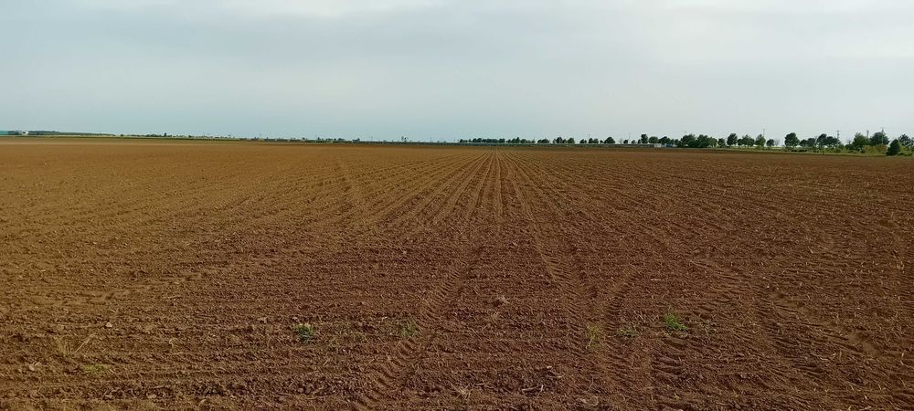 Teren intravilan industrian  16.500 mp , Deschidere 27 ml