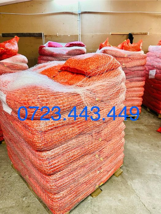 Vand arpagic import olanda