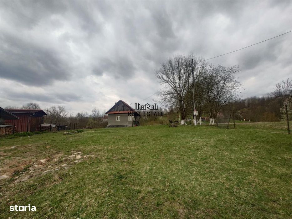 10 000 mp teren intravilan cu priveliste