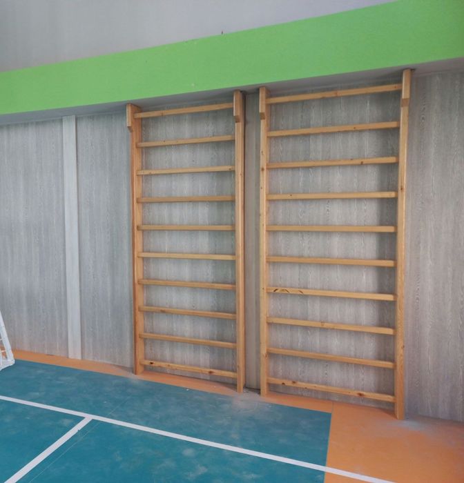 Атлетика барери шведская стенка