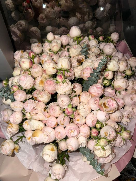 Букет пионы пионовидные цветы