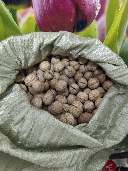 Продам грецкие орехи