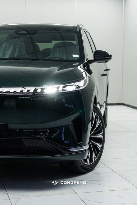 Dong feng ep 008 restayling gibrid