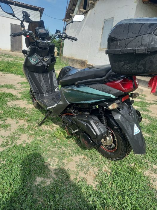 Самурай лия матор