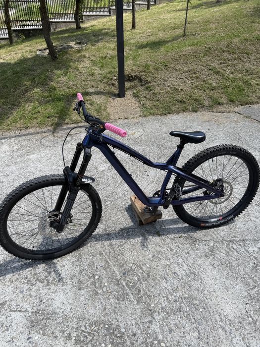 dartmoor hornet pro