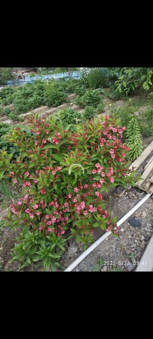 Продается дача на берегу озера