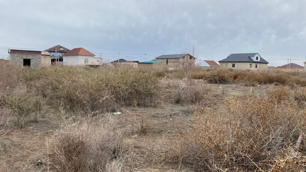 Жер байтерек 8 соттык