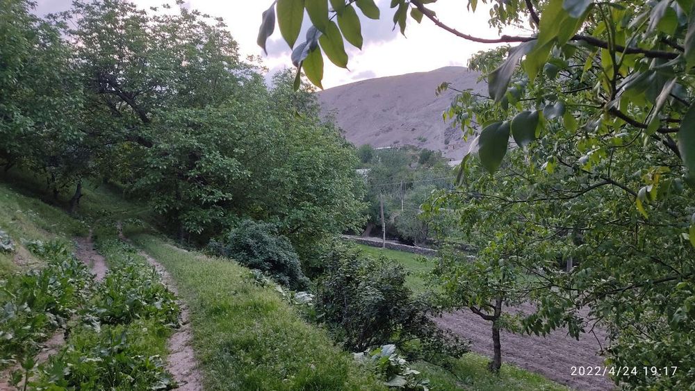 Жизах фориш тумани  учма кишлоги 20 уй