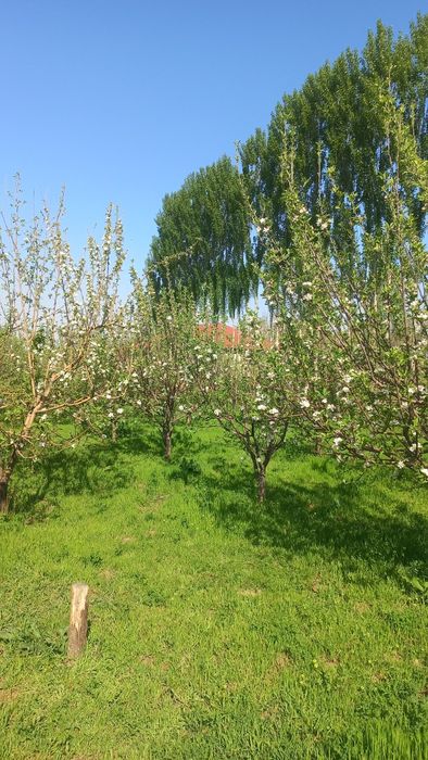 Продается земля  35 соток