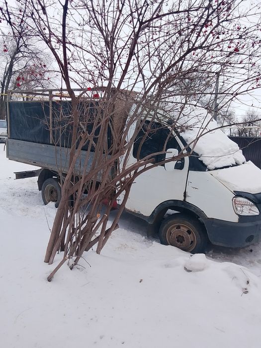 Газель сатылады 2000ж