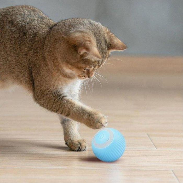 Интерактивна автоматична топка за котки с USB-C зареждане – Smart Gravitational Rolling Ball