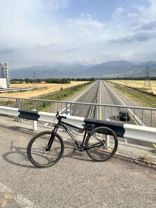 Cannondale trail 7 M 2021