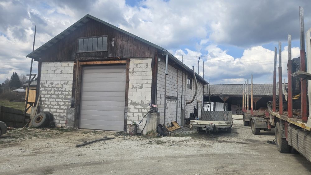 Teren+hala centru Panaci