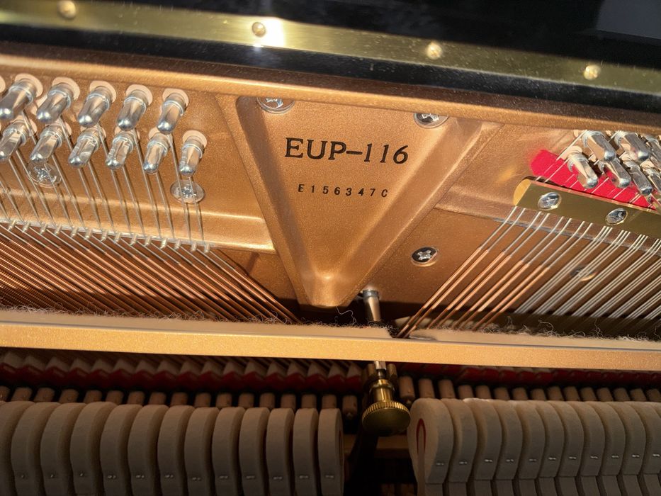 Pianina Essex Eup - 116