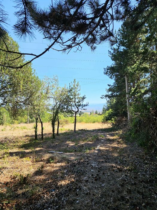 Продава се Къща в с. Войнеговци, Област София-град - 100 кв.м за 1500 €/кв.м - Снимка #6