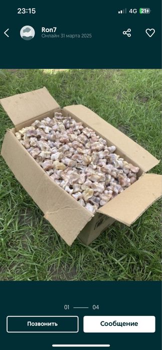 Асық ұлтық оиын