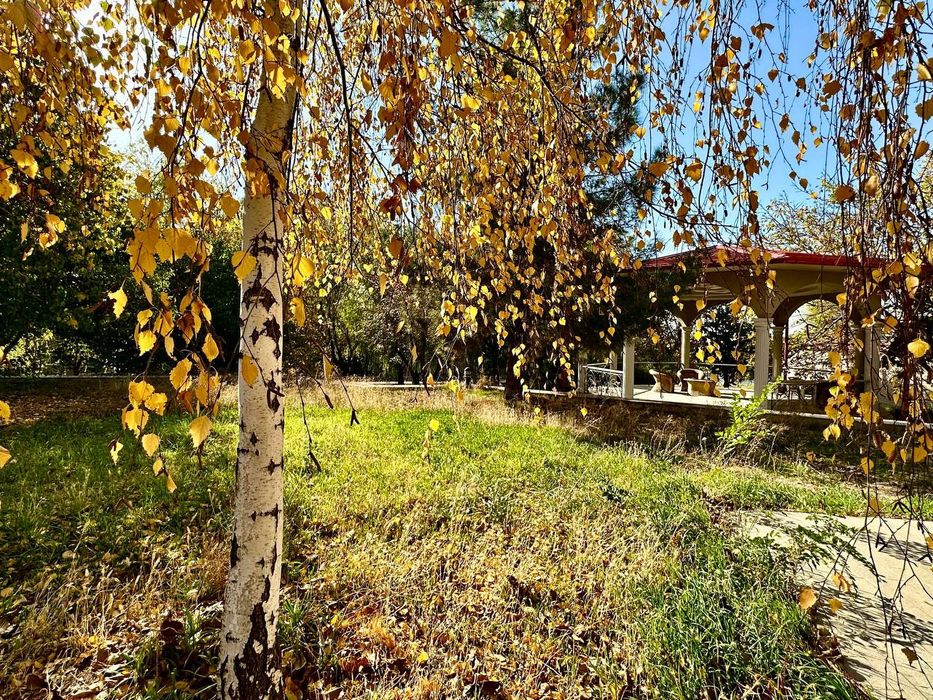 Продаётся! Загородный дом-дача 40-Соток.