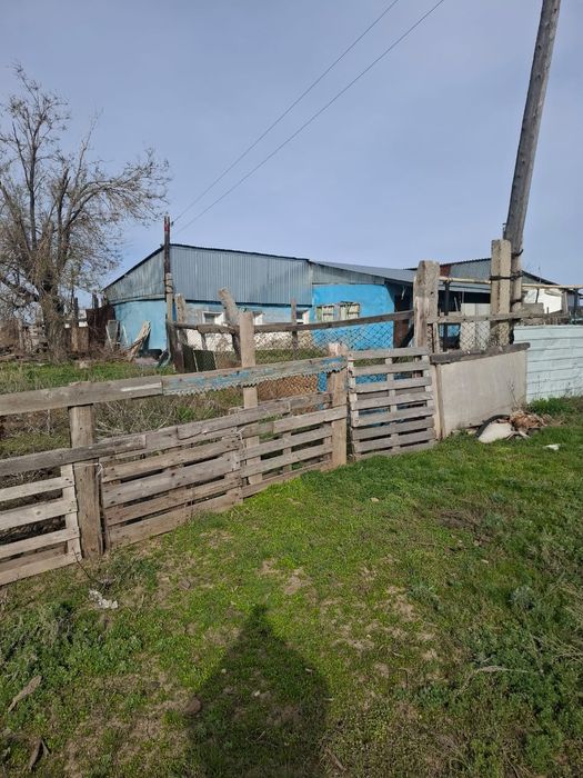 Действующее К/Х 1200гектар