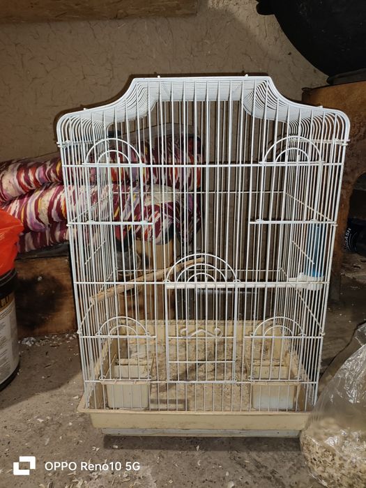 Продаётся клетка для больших попугаев
