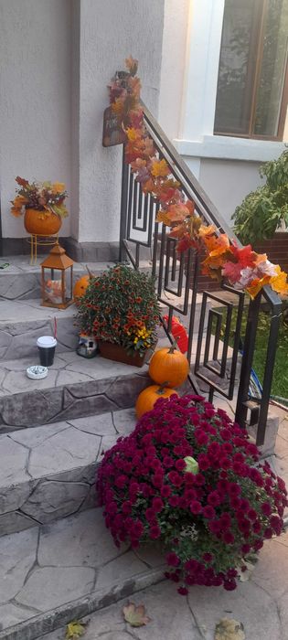 Casa central deosebita