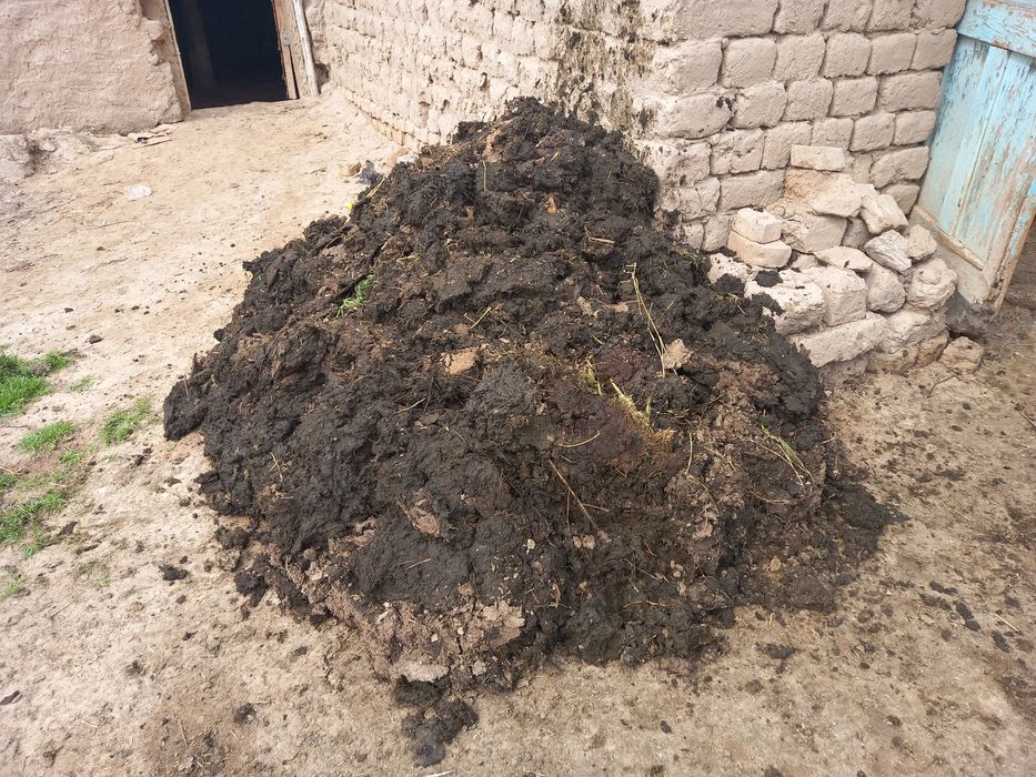 Tabiiy qo'y go‘ngi (nuri) sotiladi